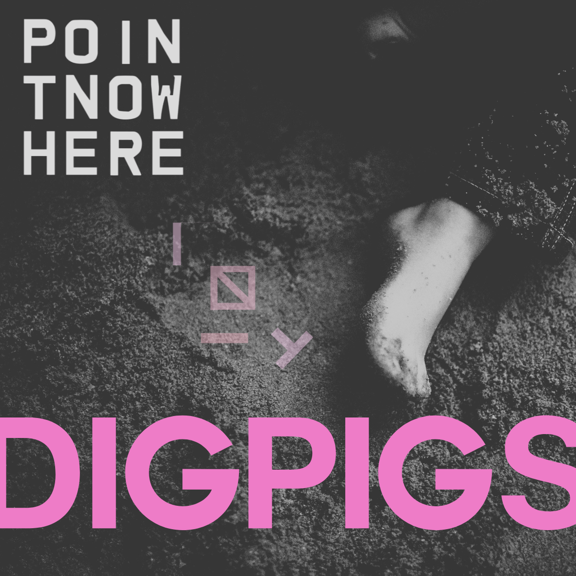 Digpigs cover